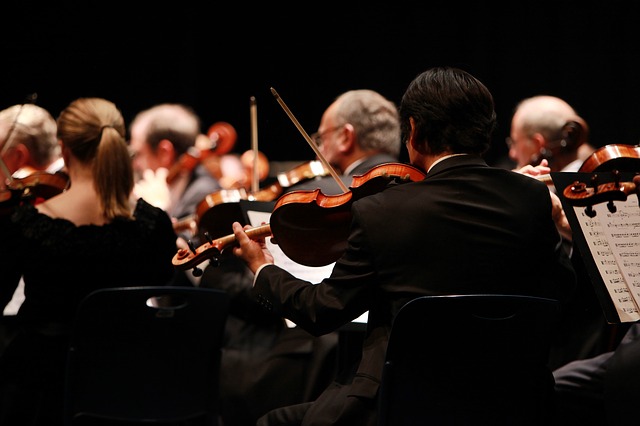 Neujahrskonzert der Wiener Philharmoniker